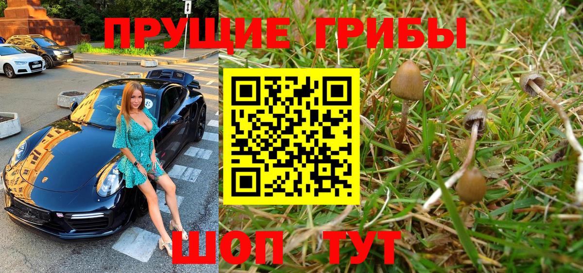 Галлюциногенные грибы Magic Shrooms  Вход с VPN  Торжок  Псилоцибиновые грибы ЛСД 
